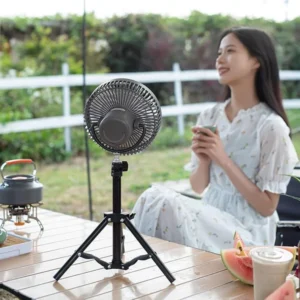 Outdoor Travel Cooling Fan